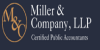 IRS Tax Audit Accountant Long Island Avatar